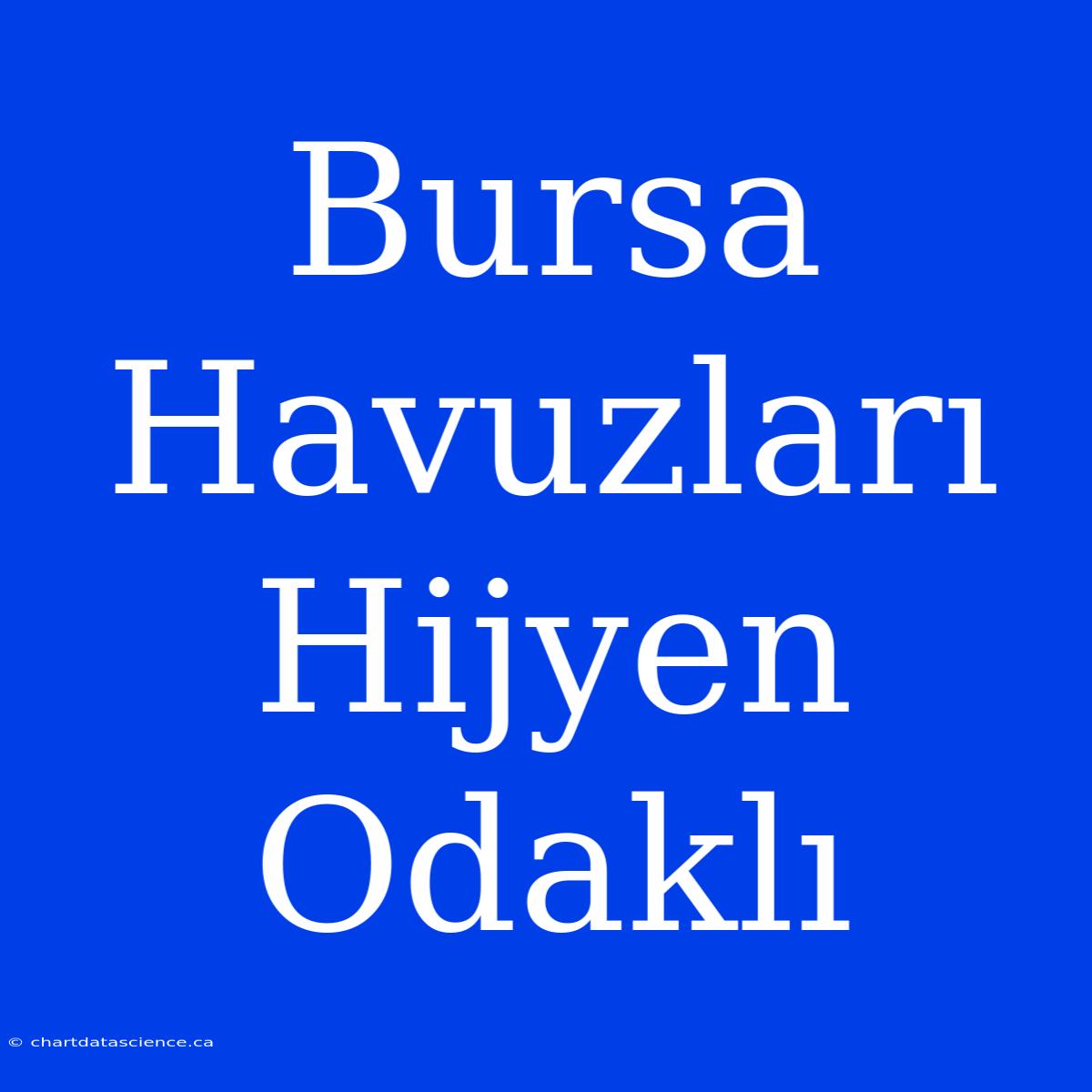 Bursa Havuzları Hijyen Odaklı