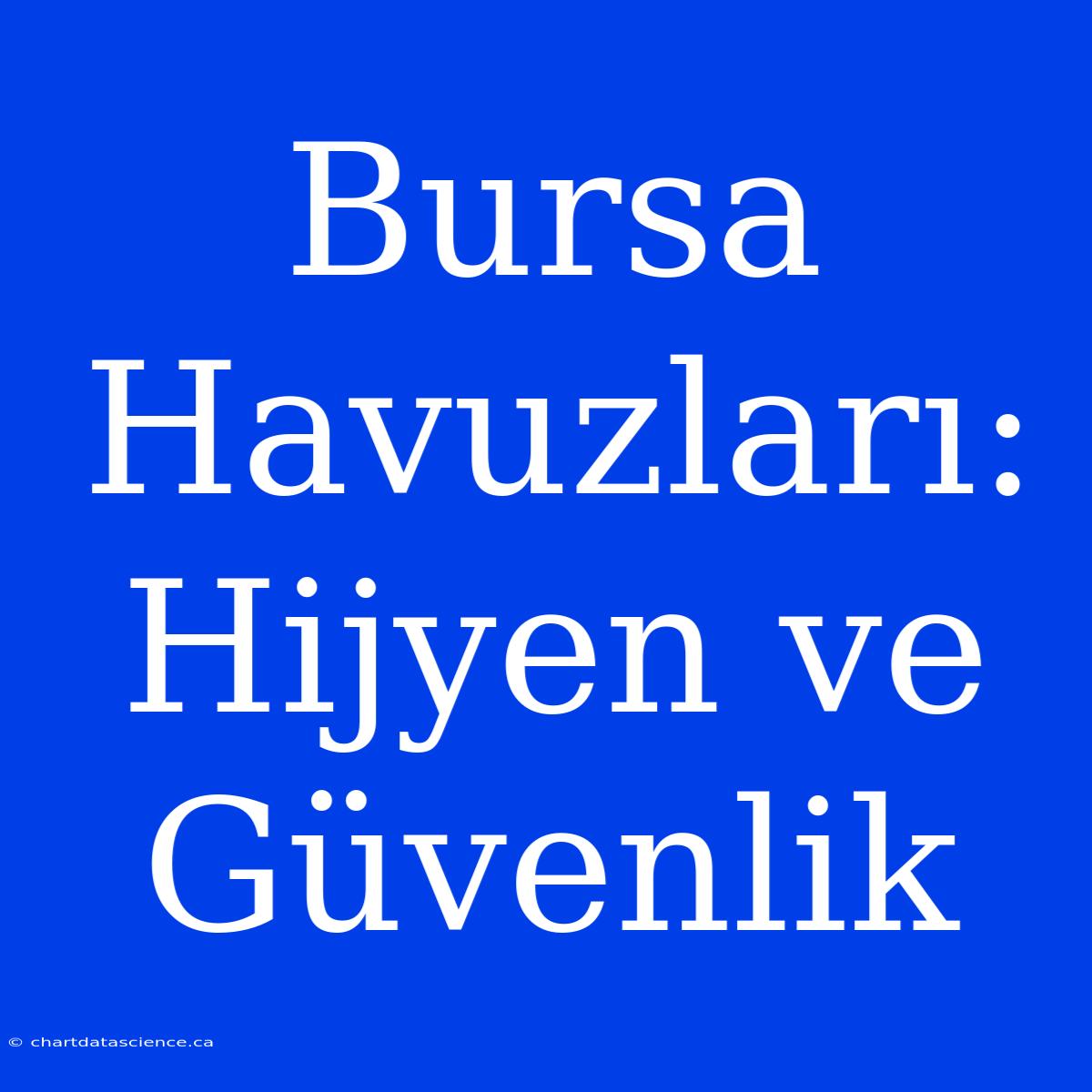 Bursa Havuzları: Hijyen Ve Güvenlik