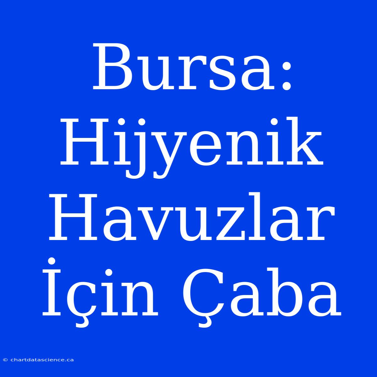 Bursa: Hijyenik Havuzlar İçin Çaba