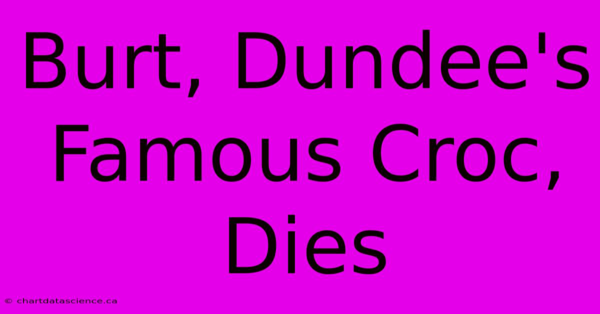 Burt, Dundee's Famous Croc, Dies