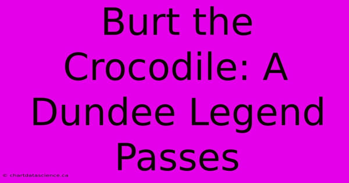 Burt The Crocodile: A Dundee Legend Passes