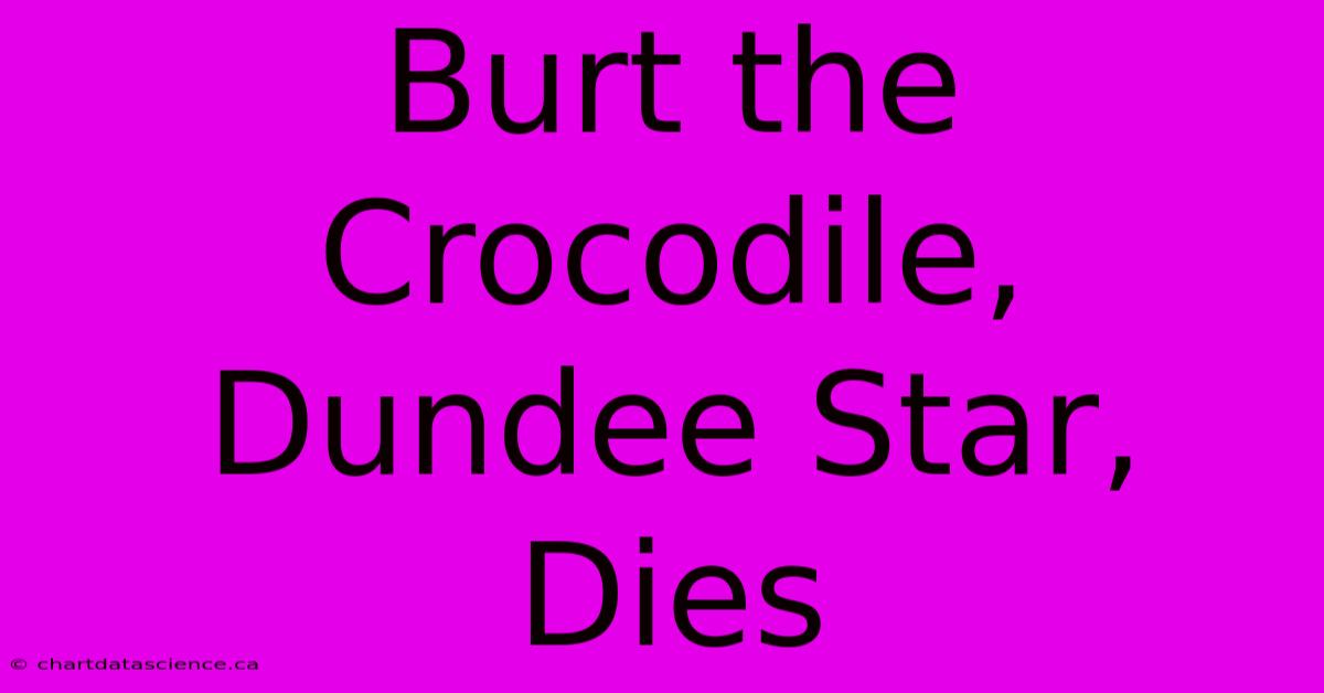 Burt The Crocodile, Dundee Star, Dies