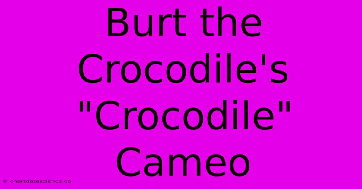 Burt The Crocodile's 