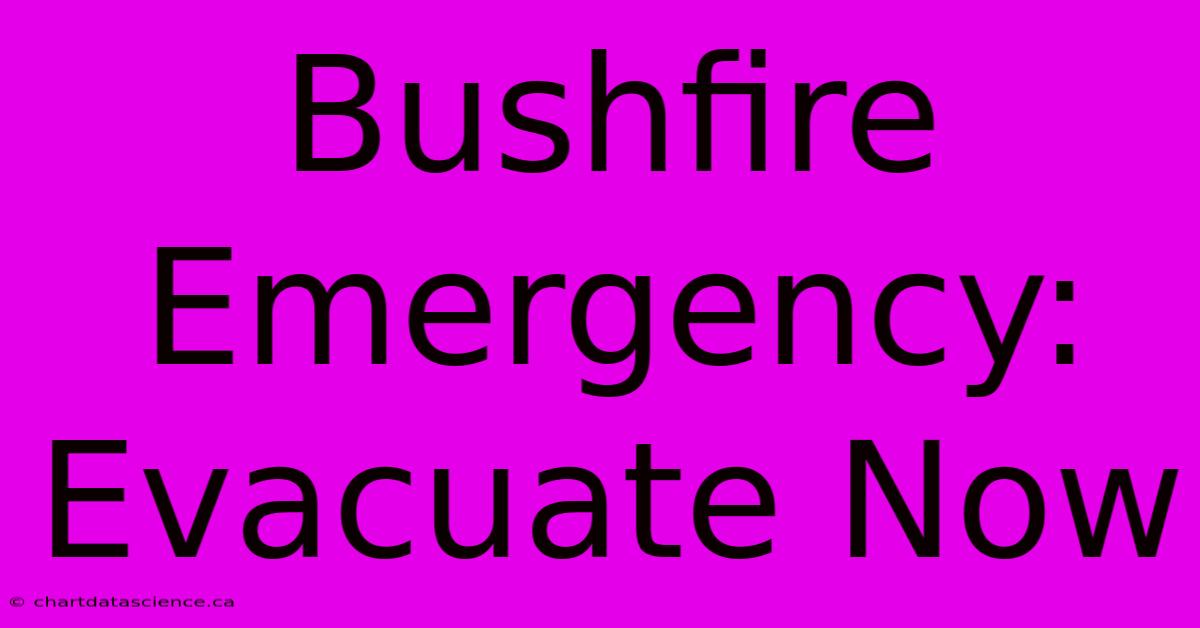 Bushfire Emergency: Evacuate Now