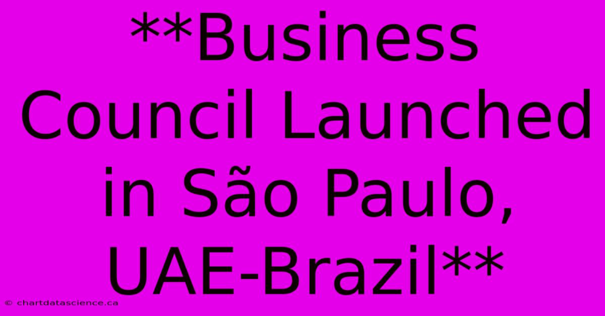 **Business Council Launched In São Paulo, UAE-Brazil**