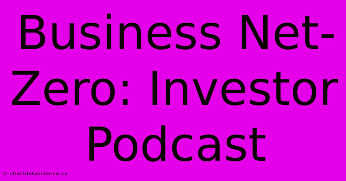 Business Net-Zero: Investor Podcast