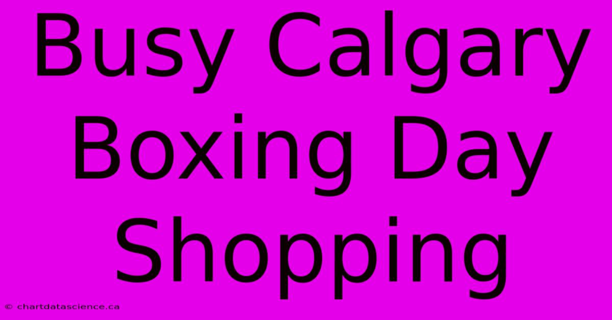 Busy Calgary Boxing Day Shopping