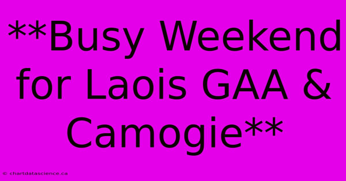 **Busy Weekend For Laois GAA & Camogie**