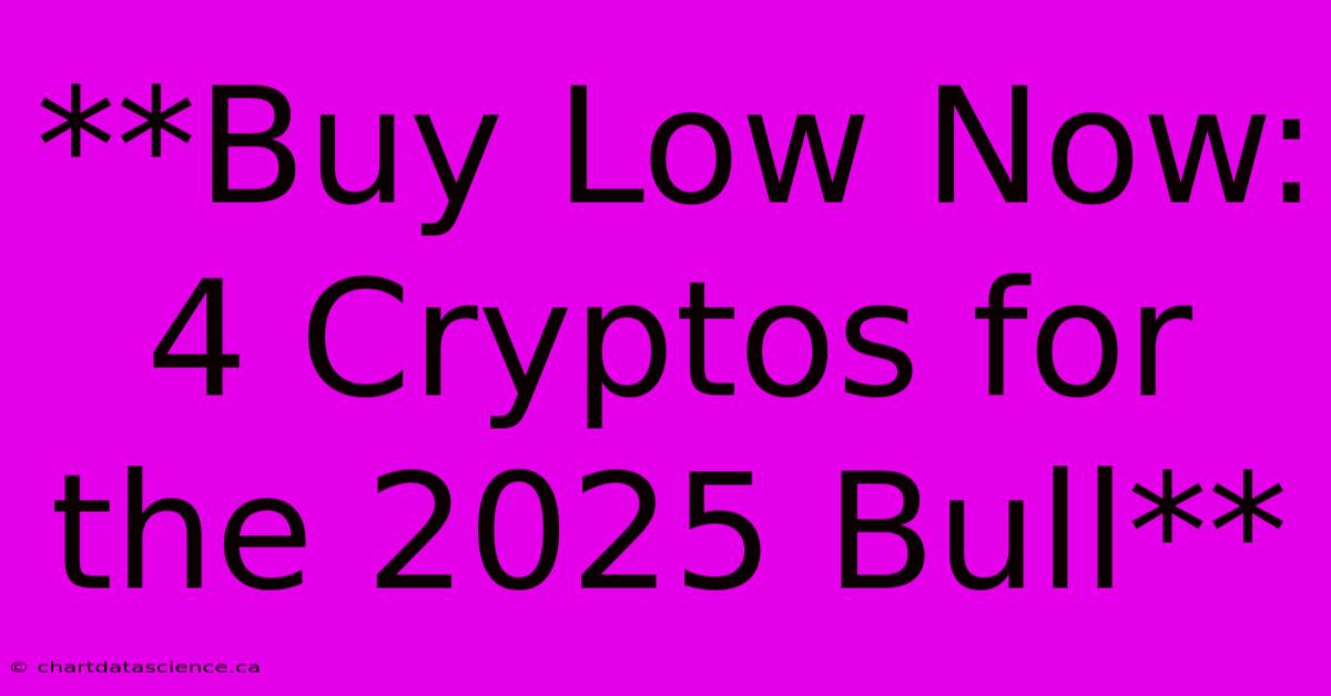 **Buy Low Now: 4 Cryptos For The 2025 Bull**