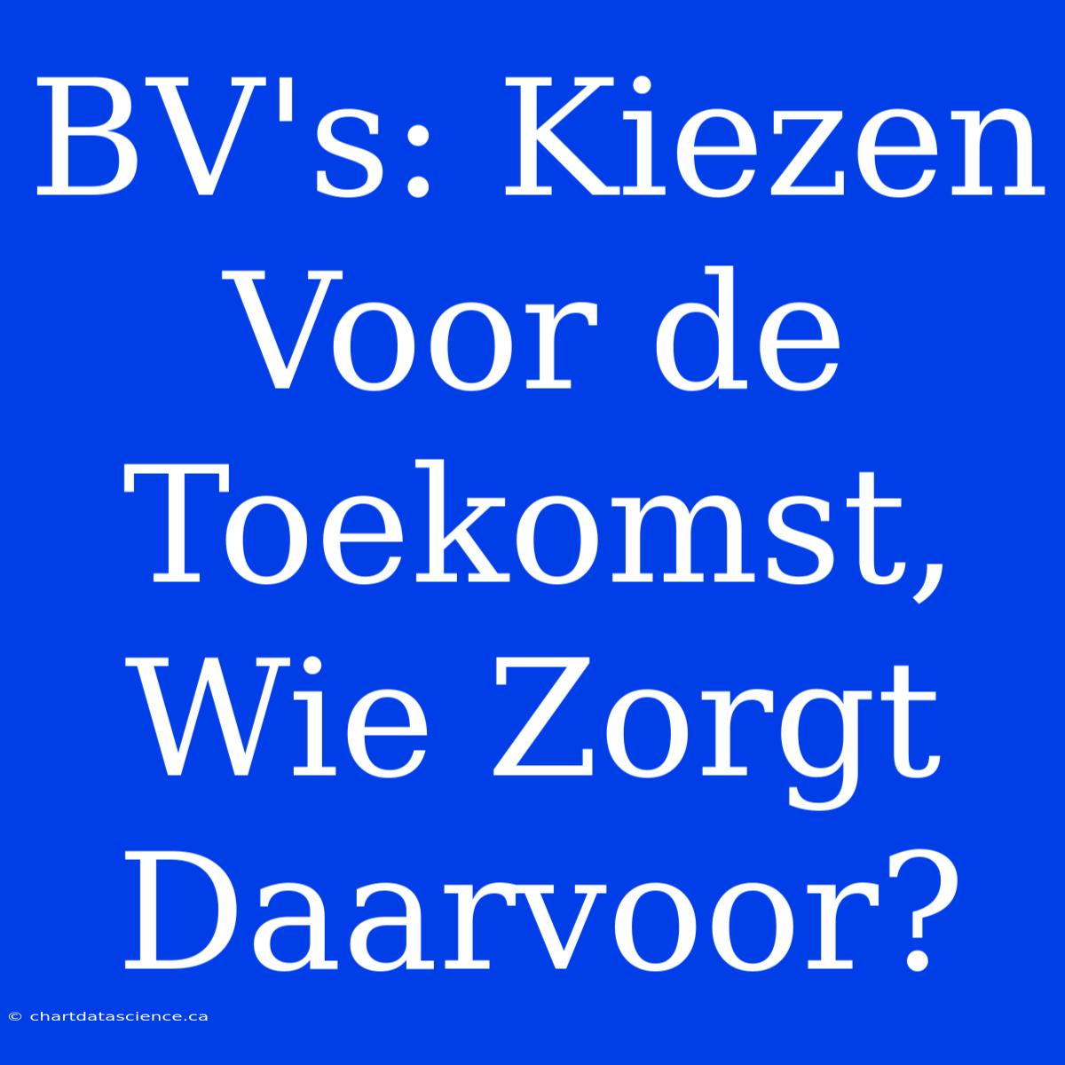 BV's: Kiezen Voor De Toekomst, Wie Zorgt Daarvoor?