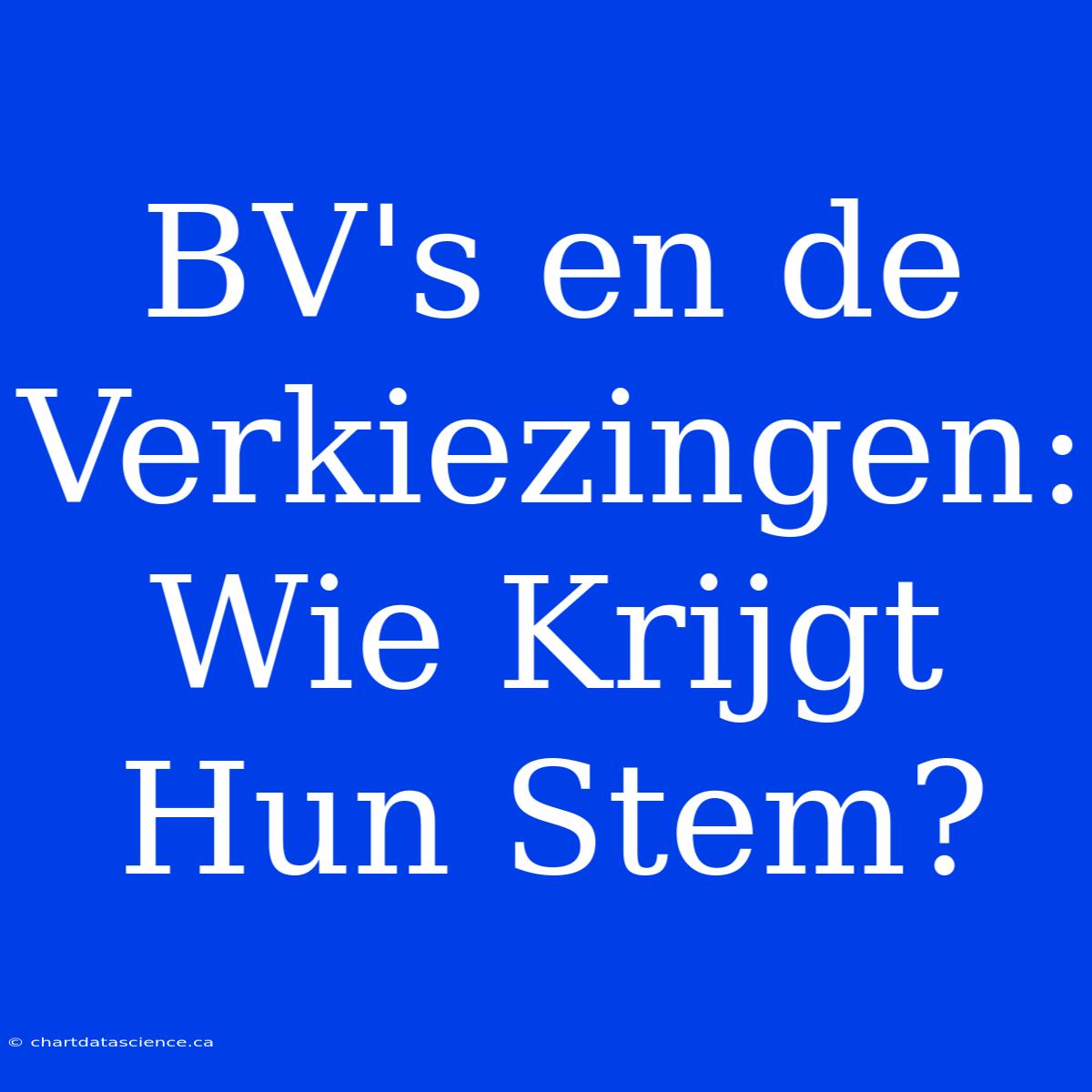 BV's En De Verkiezingen: Wie Krijgt Hun Stem?