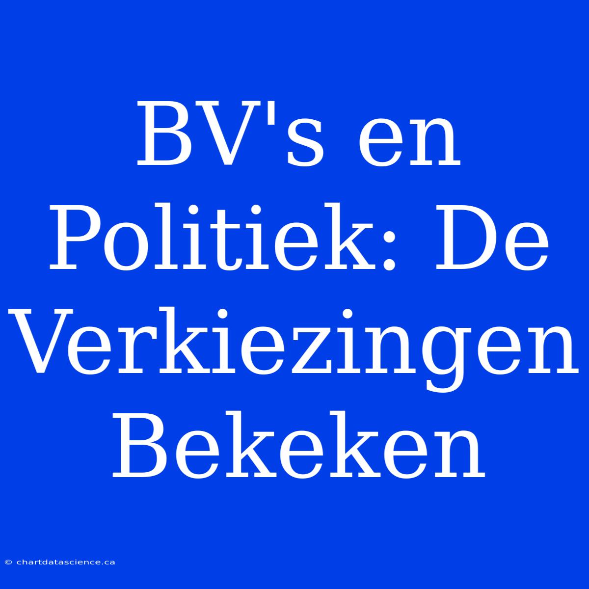 BV's En Politiek: De Verkiezingen Bekeken