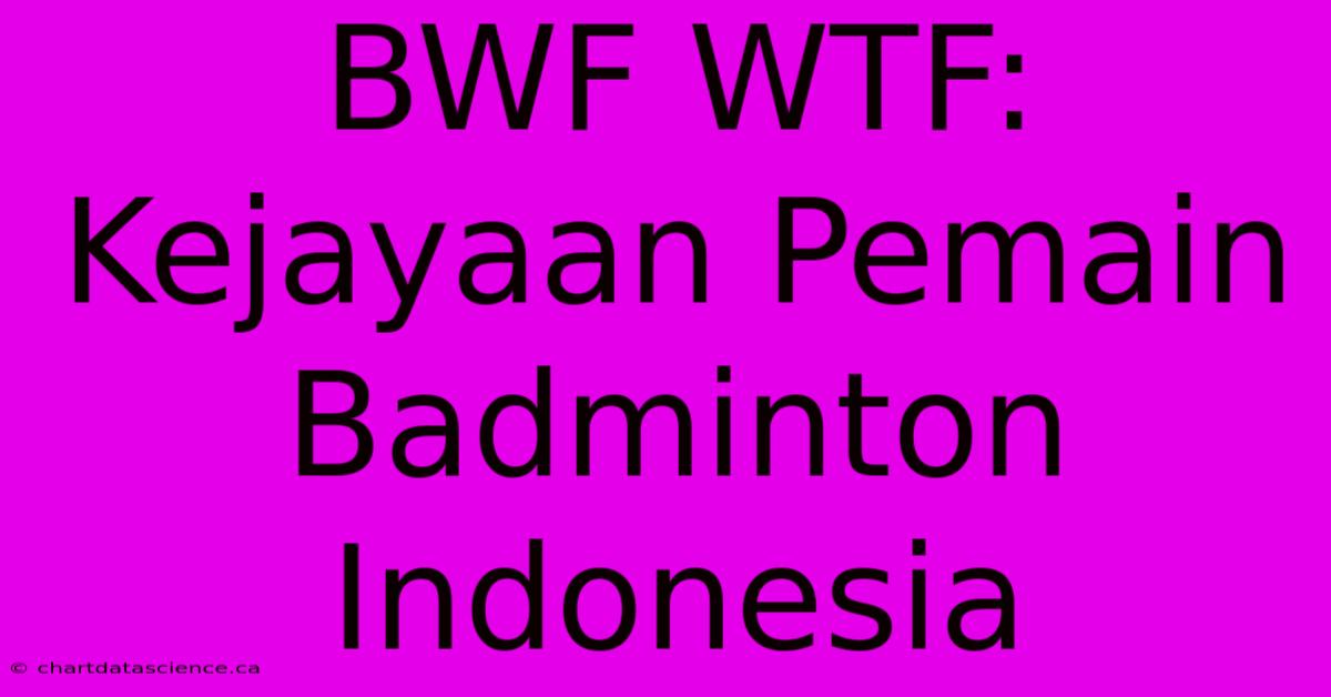 BWF WTF: Kejayaan Pemain Badminton Indonesia