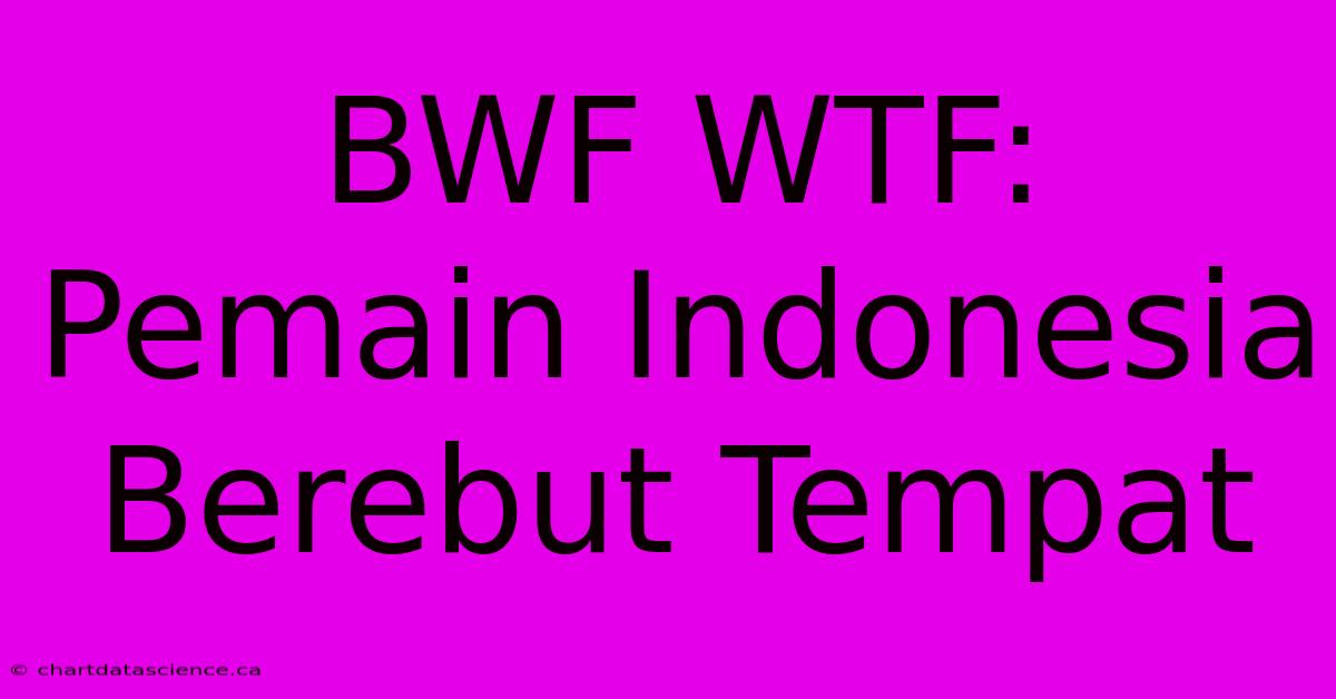 BWF WTF: Pemain Indonesia Berebut Tempat