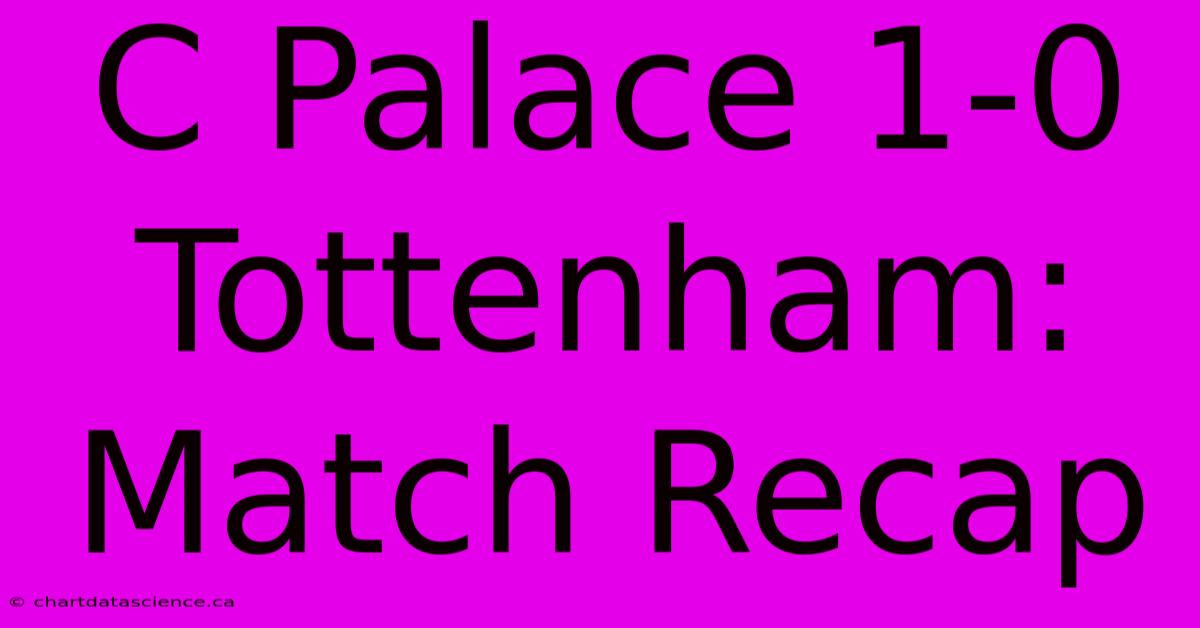 C Palace 1-0 Tottenham: Match Recap