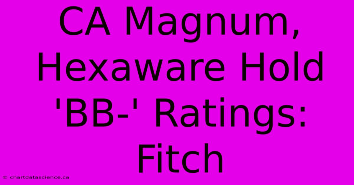 CA Magnum, Hexaware Hold 'BB-' Ratings: Fitch