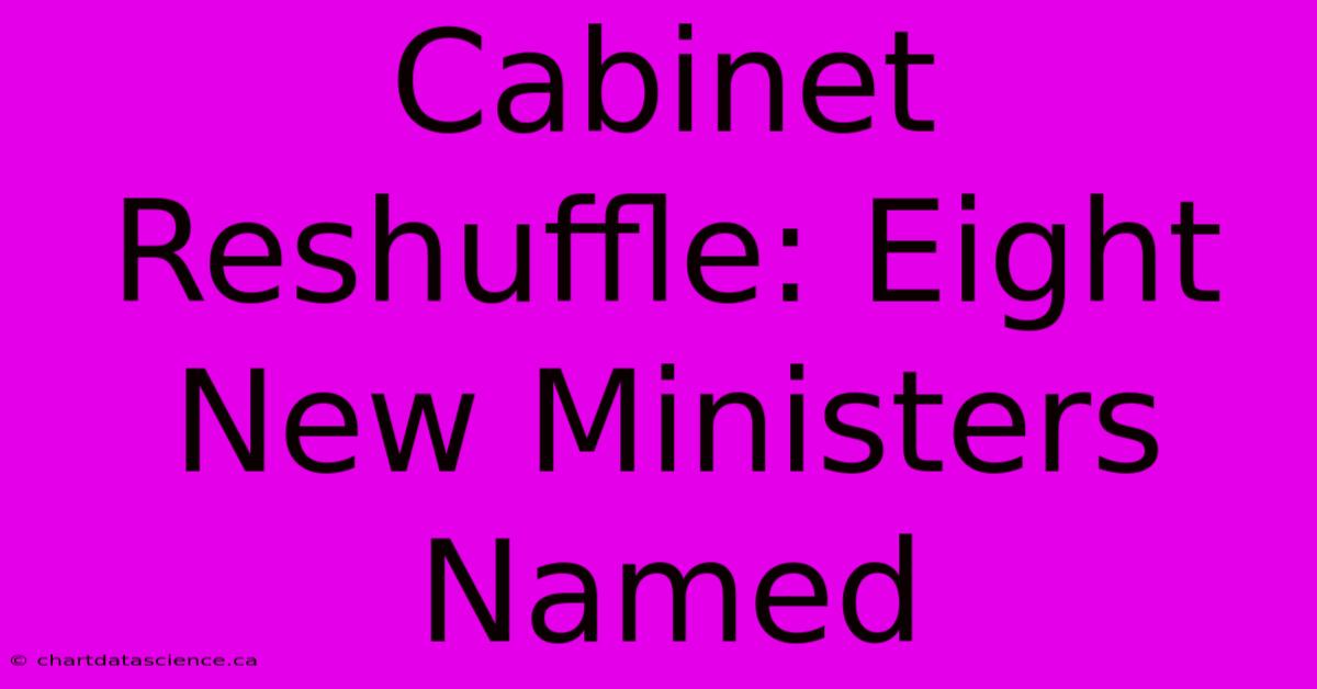 Cabinet Reshuffle: Eight New Ministers Named