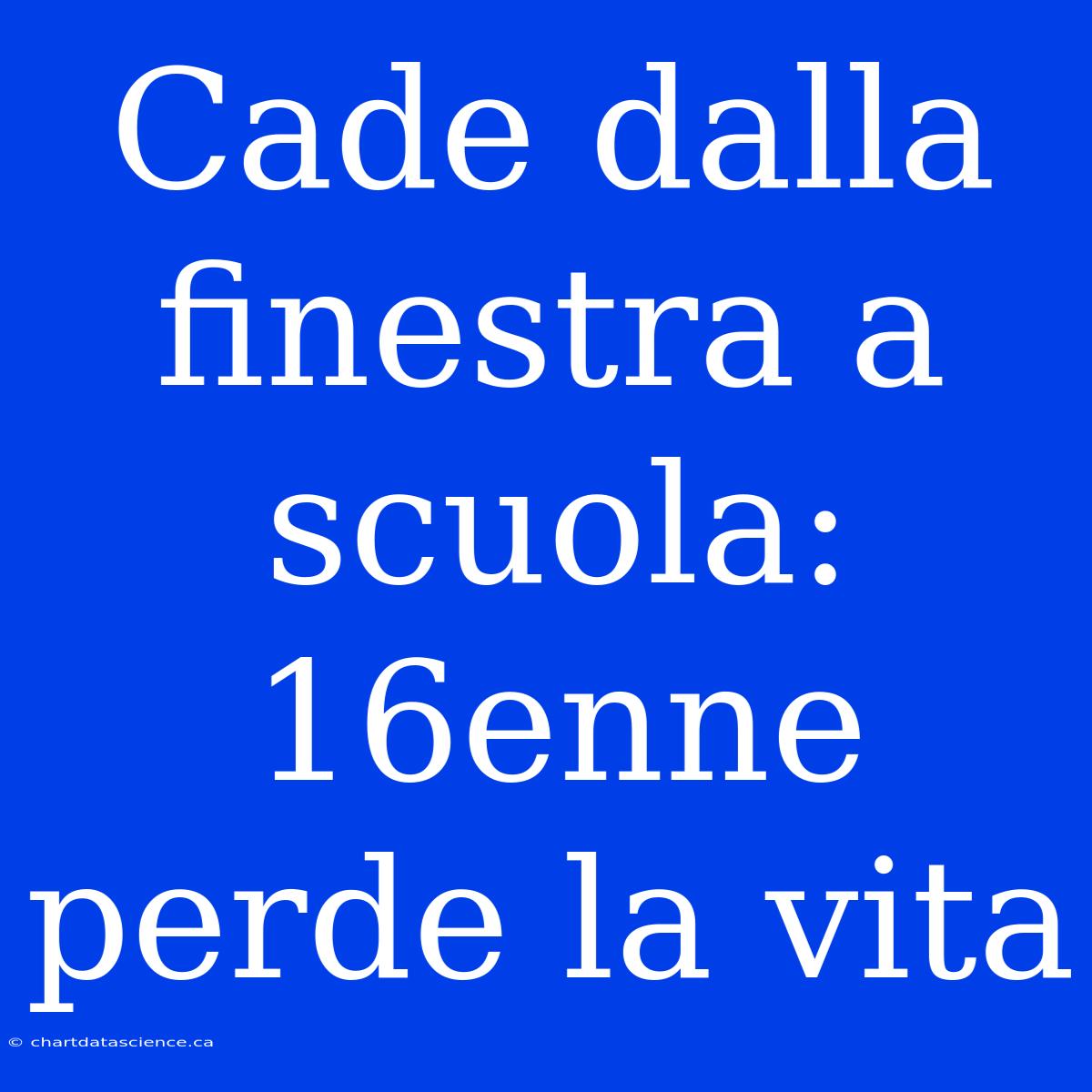 Cade Dalla Finestra A Scuola: 16enne Perde La Vita