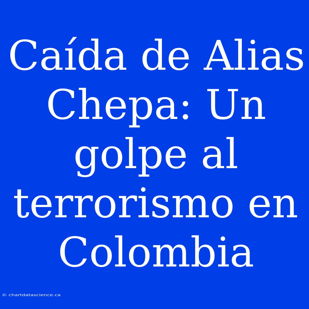 Caída De Alias Chepa: Un Golpe Al Terrorismo En Colombia