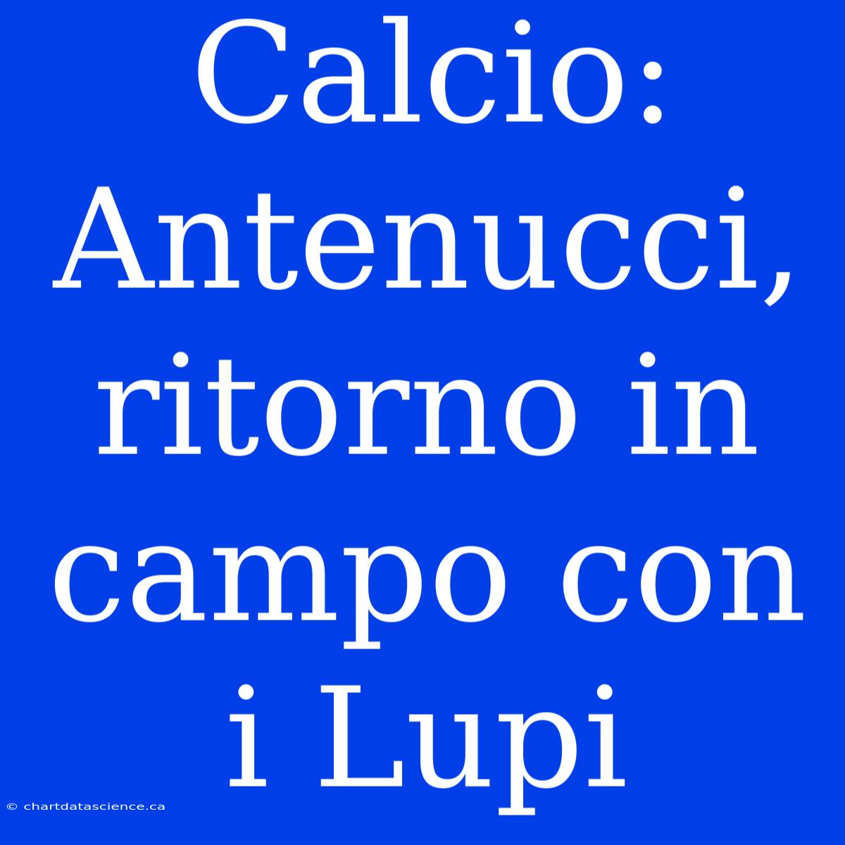 Calcio: Antenucci, Ritorno In Campo Con I Lupi