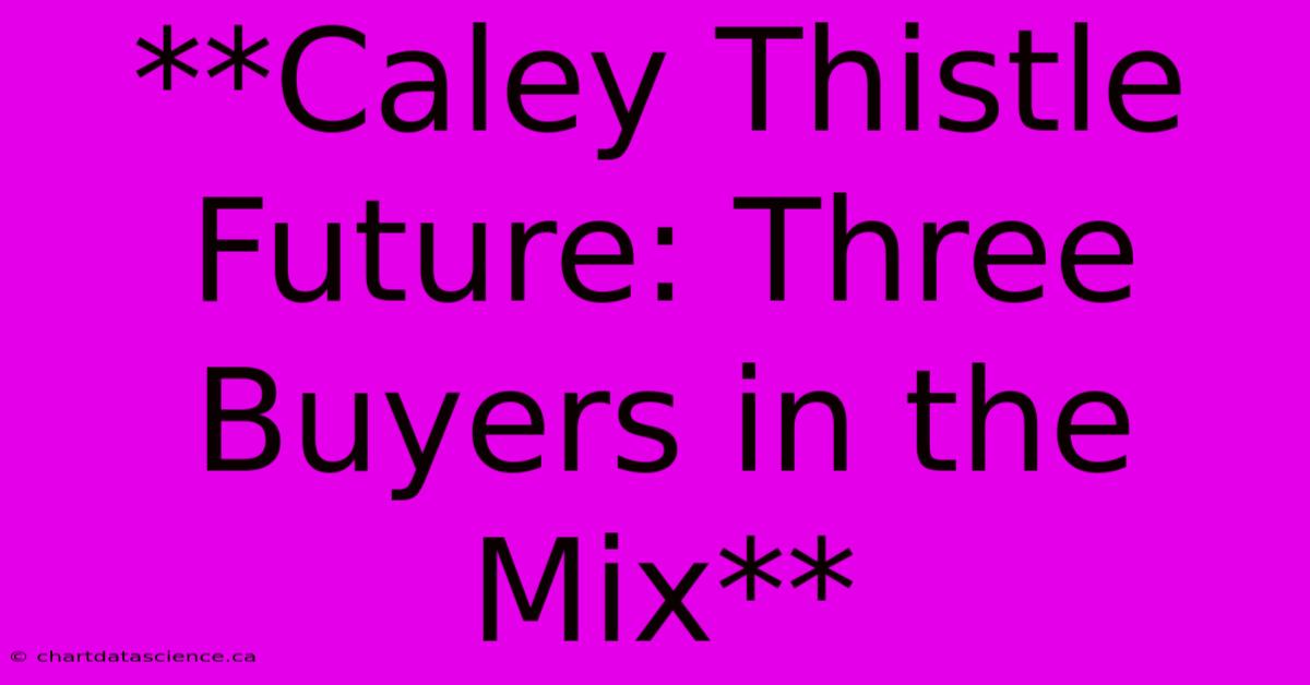 **Caley Thistle Future: Three Buyers In The Mix** 