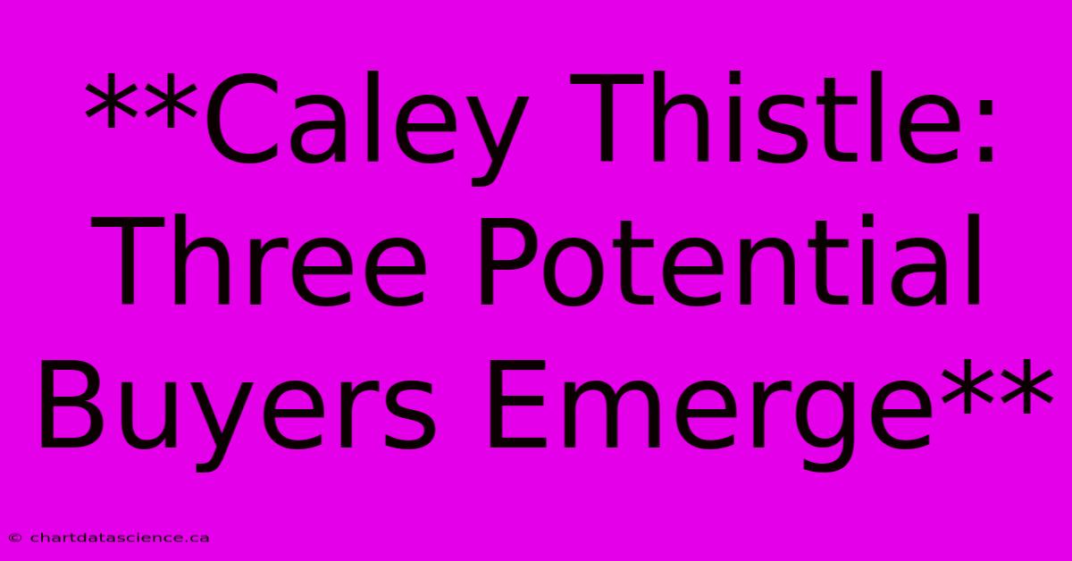 **Caley Thistle: Three Potential Buyers Emerge**