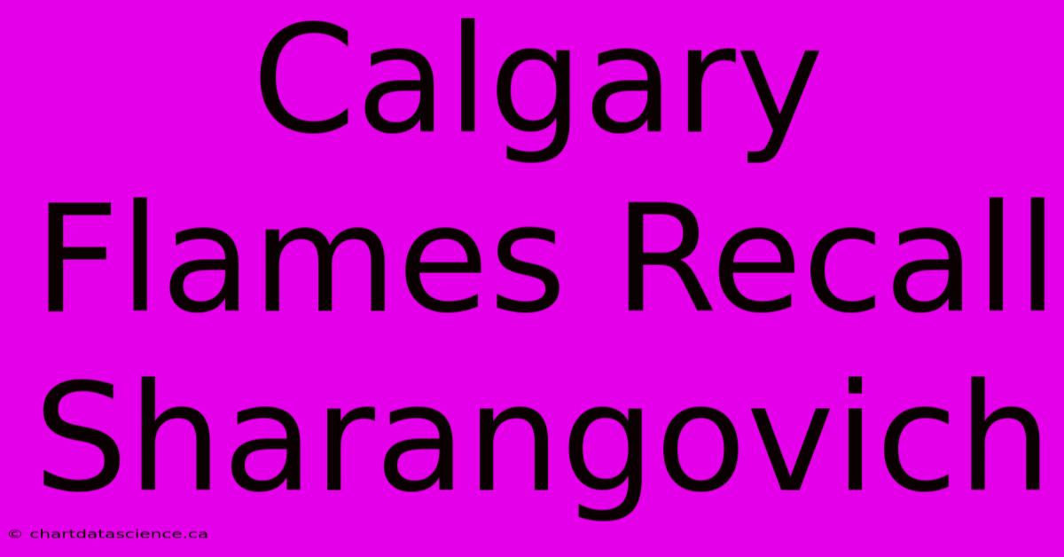 Calgary Flames Recall Sharangovich 