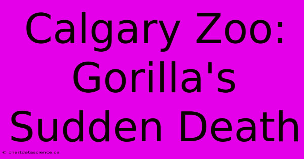 Calgary Zoo: Gorilla's Sudden Death