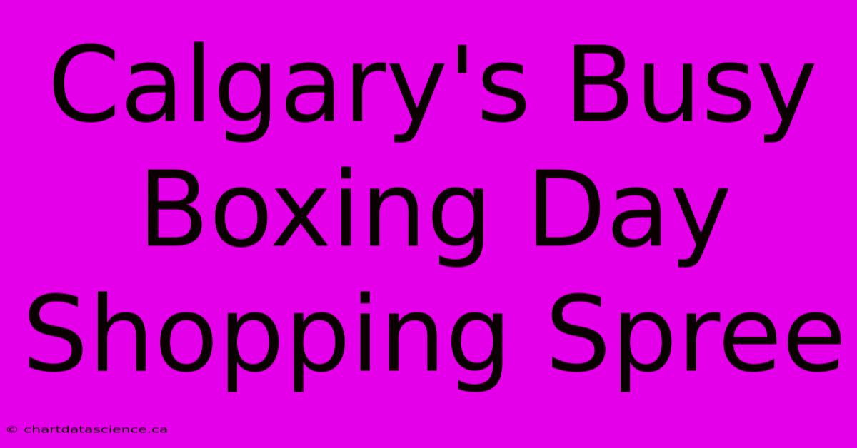 Calgary's Busy Boxing Day Shopping Spree