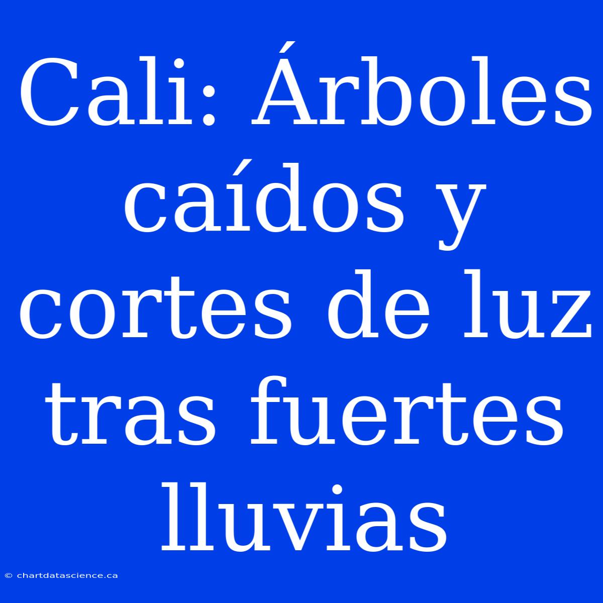 Cali: Árboles Caídos Y Cortes De Luz Tras Fuertes Lluvias