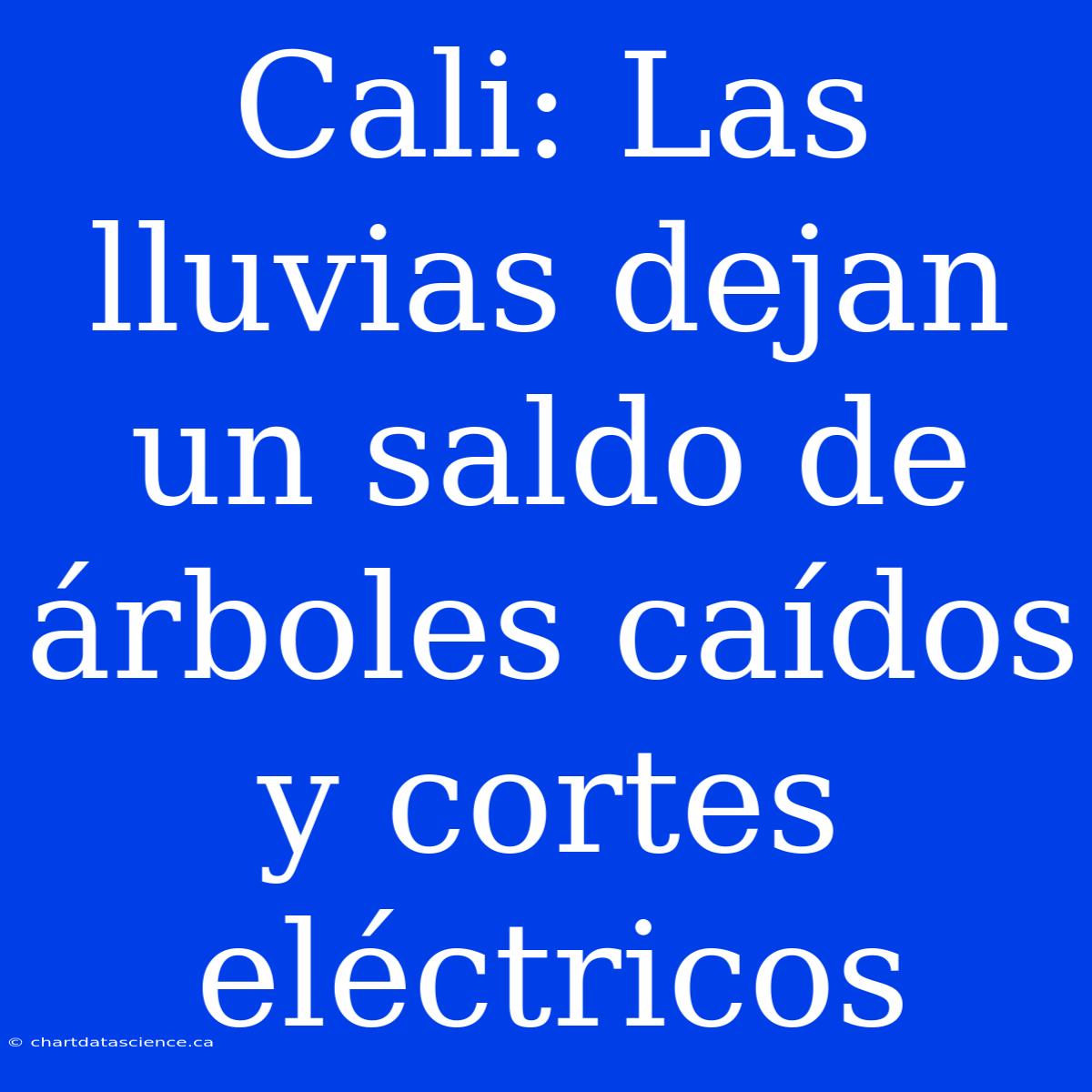 Cali: Las Lluvias Dejan Un Saldo De Árboles Caídos Y Cortes Eléctricos