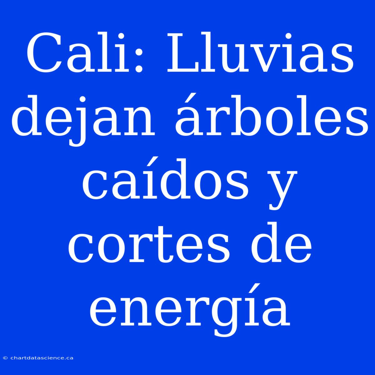 Cali: Lluvias Dejan Árboles Caídos Y Cortes De Energía