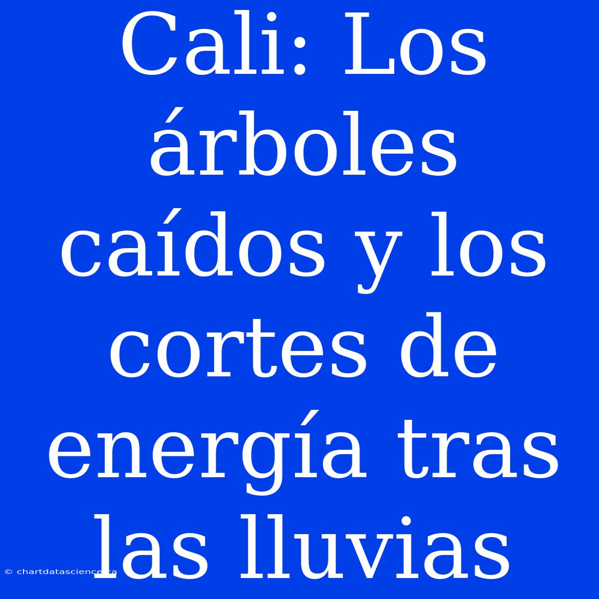 Cali: Los Árboles Caídos Y Los Cortes De Energía Tras Las Lluvias