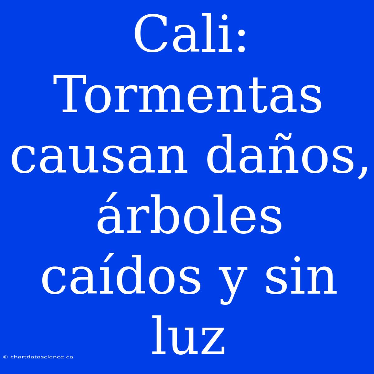 Cali: Tormentas Causan Daños, Árboles Caídos Y Sin Luz