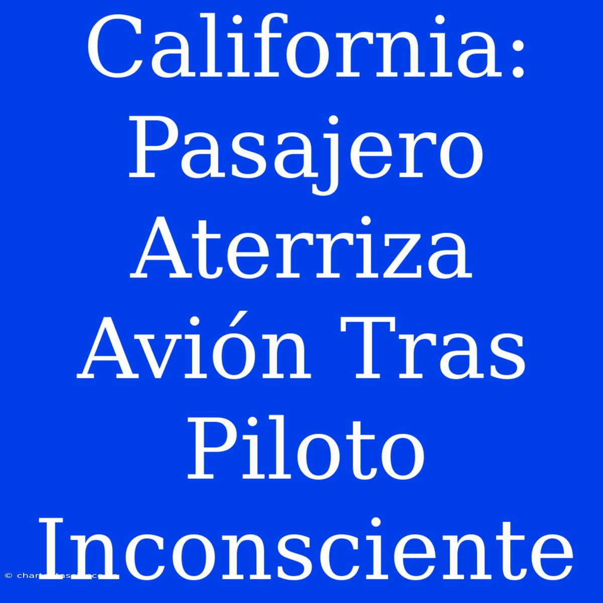 California: Pasajero Aterriza Avión Tras Piloto Inconsciente