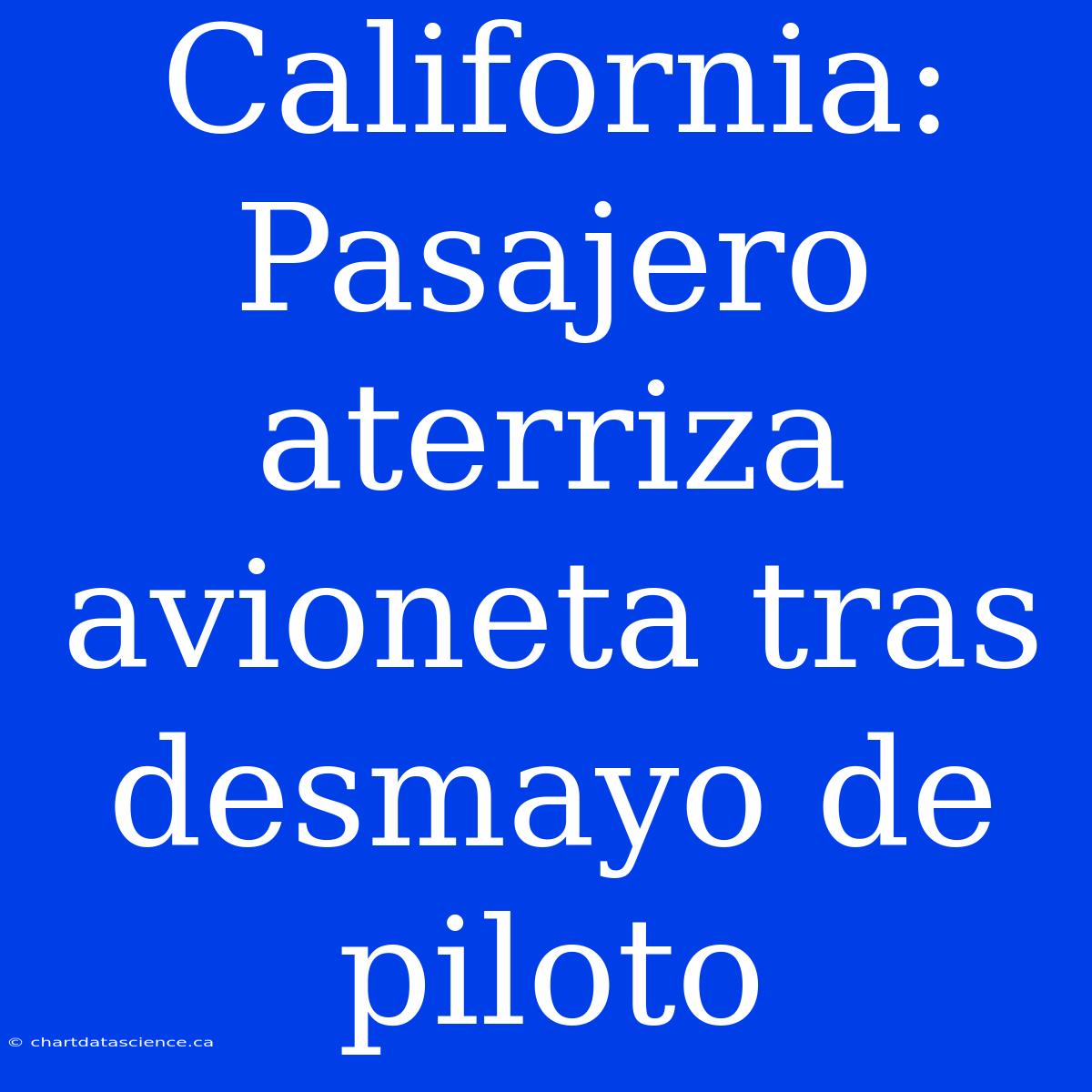 California: Pasajero Aterriza Avioneta Tras Desmayo De Piloto