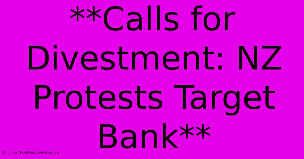 **Calls For Divestment: NZ Protests Target Bank** 