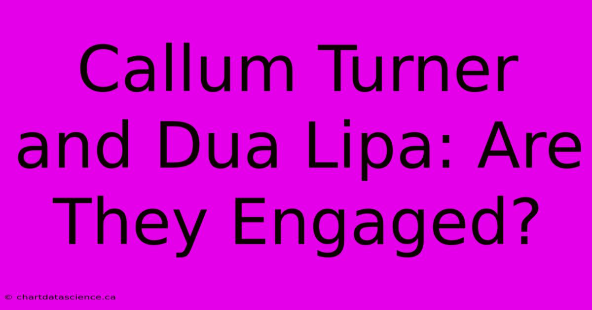 Callum Turner And Dua Lipa: Are They Engaged?