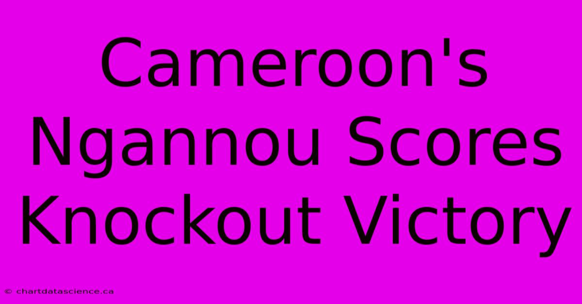 Cameroon's Ngannou Scores Knockout Victory 