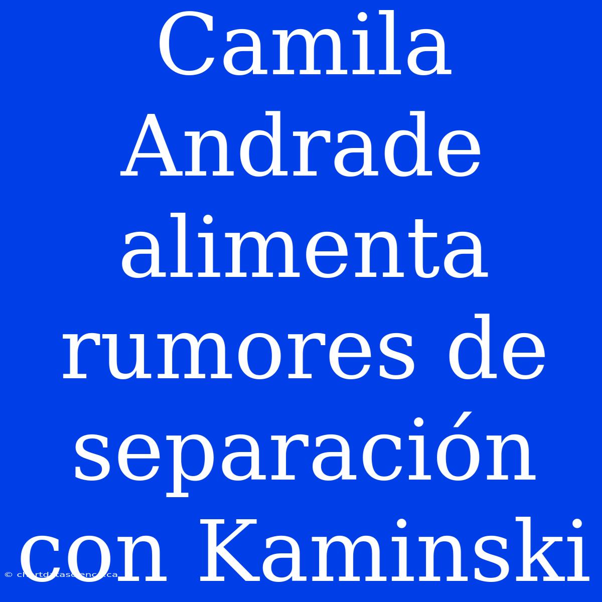 Camila Andrade Alimenta Rumores De Separación Con Kaminski