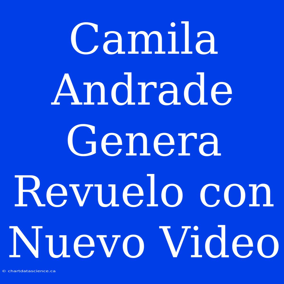 Camila Andrade Genera Revuelo Con Nuevo Video