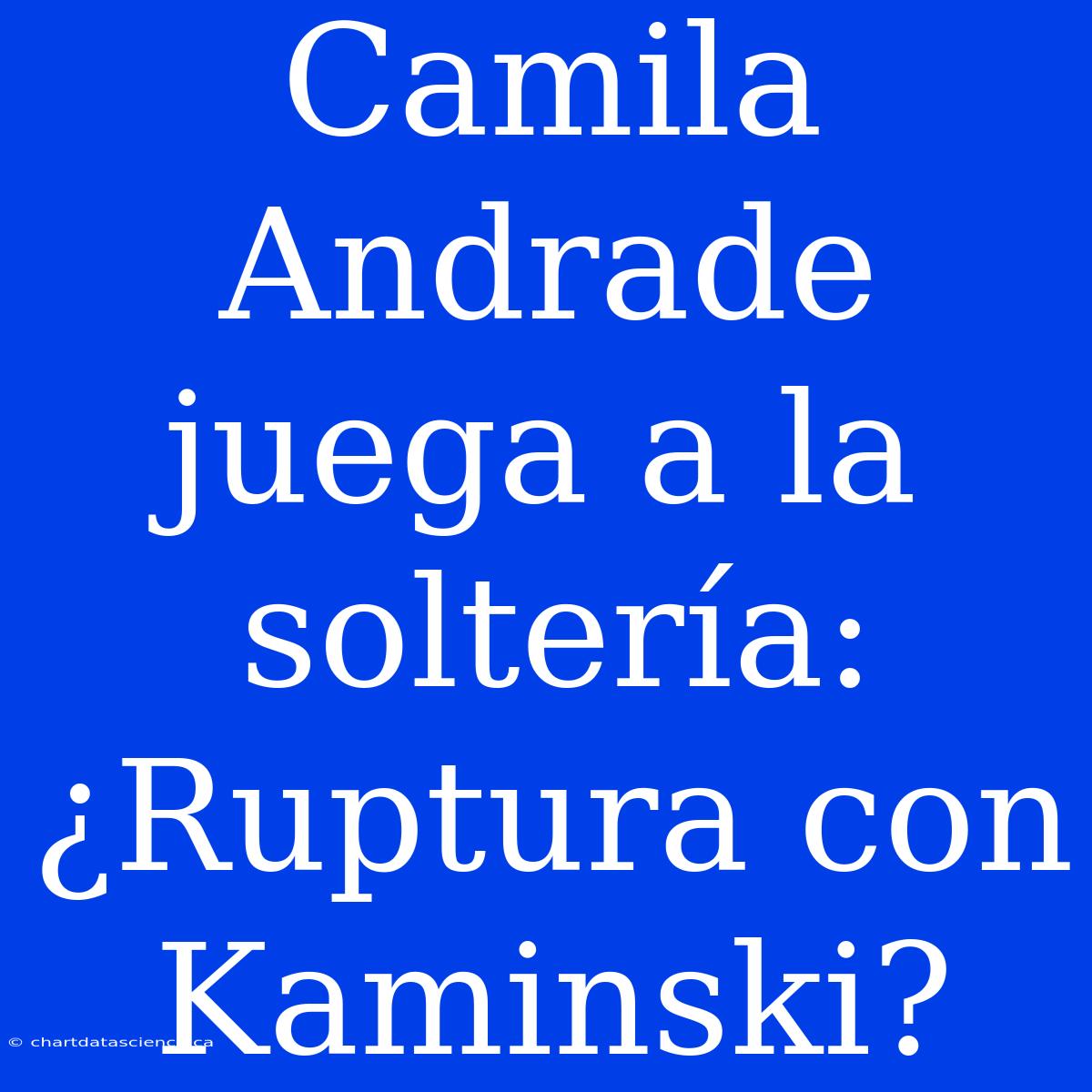 Camila Andrade Juega A La Soltería: ¿Ruptura Con Kaminski?