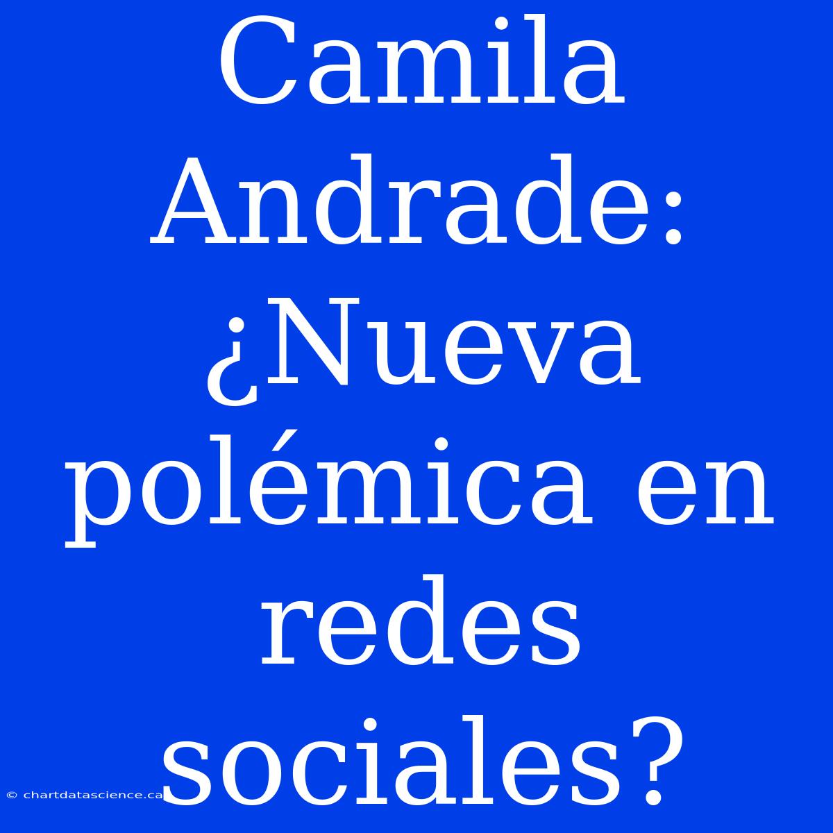 Camila Andrade: ¿Nueva Polémica En Redes Sociales?