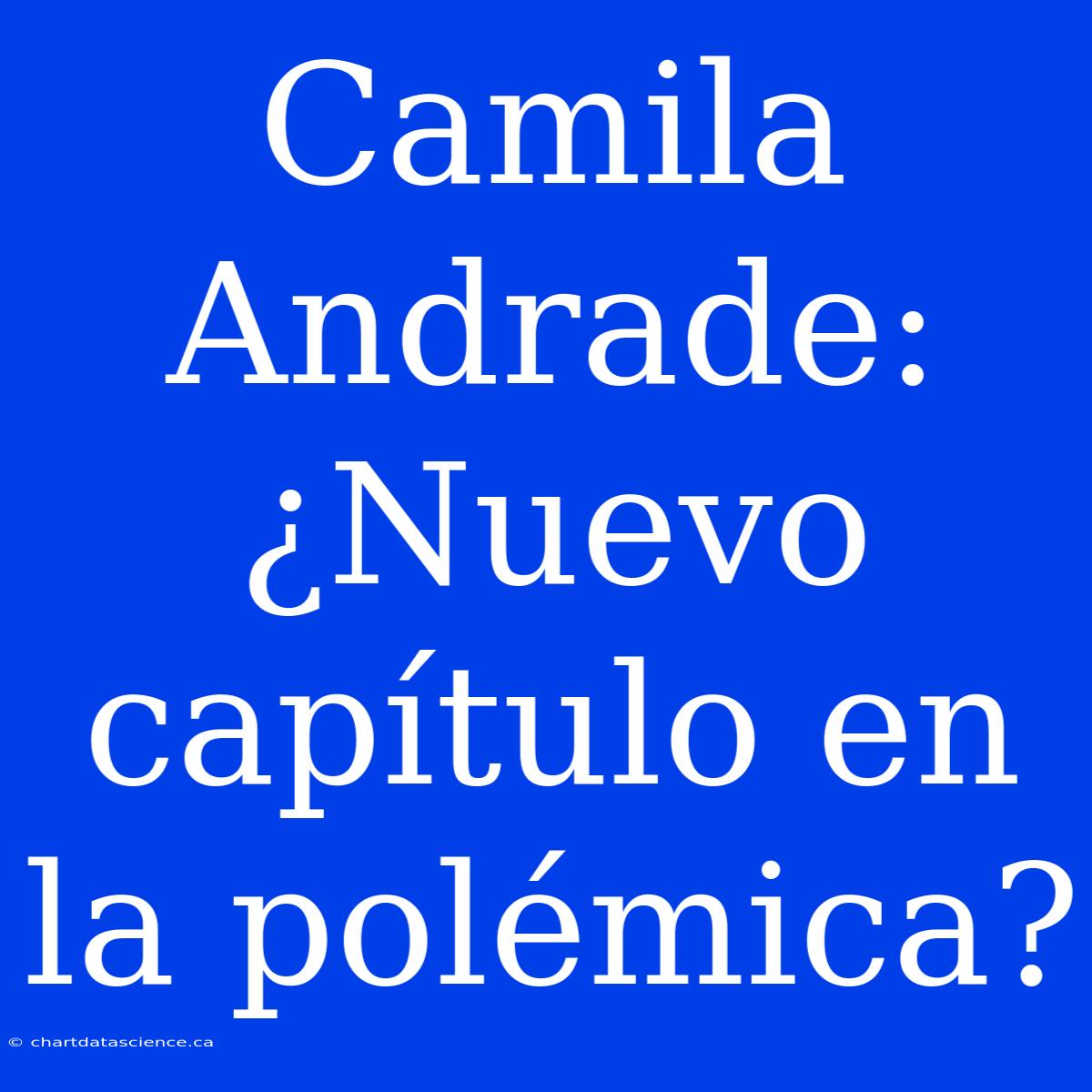 Camila Andrade: ¿Nuevo Capítulo En La Polémica?