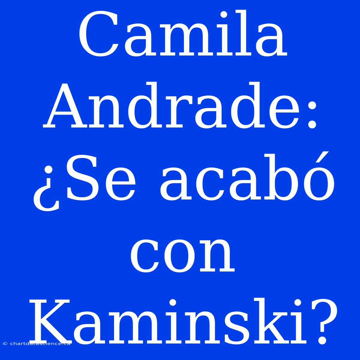 Camila Andrade: ¿Se Acabó Con Kaminski?