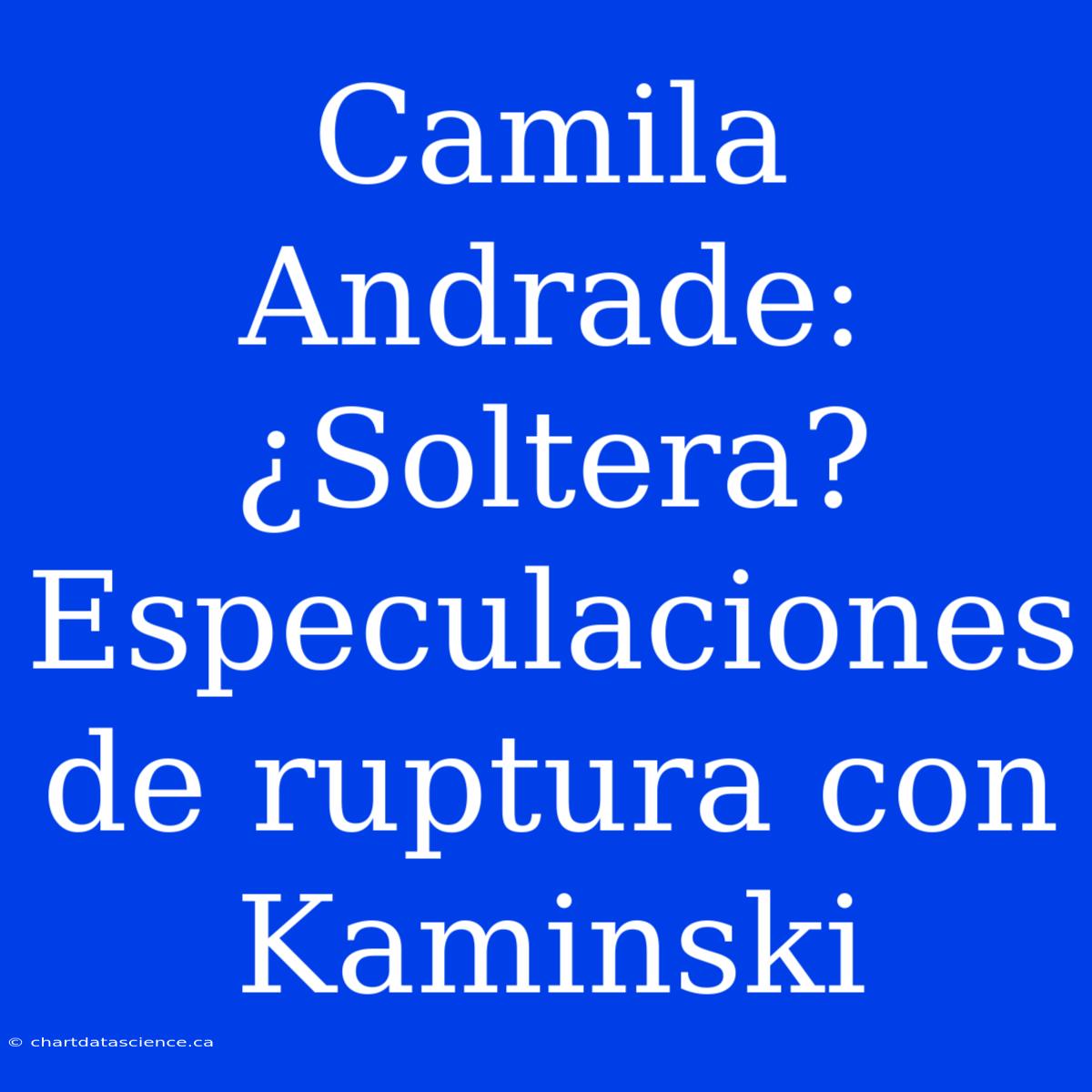 Camila Andrade: ¿Soltera? Especulaciones De Ruptura Con Kaminski