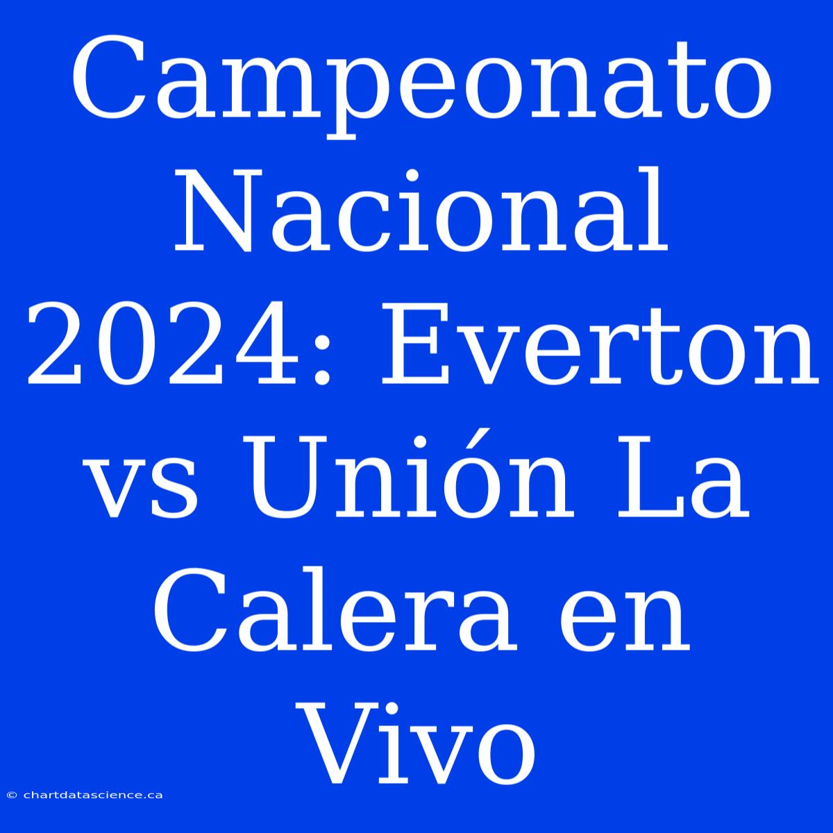 Campeonato Nacional 2024: Everton Vs Unión La Calera En Vivo