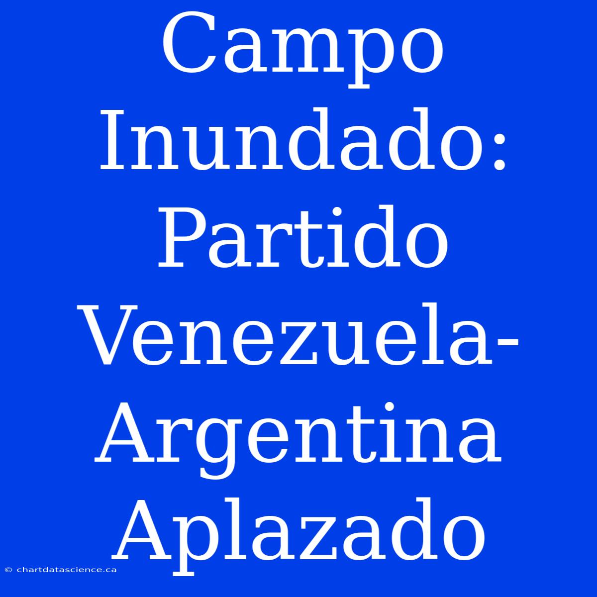 Campo Inundado: Partido Venezuela-Argentina Aplazado