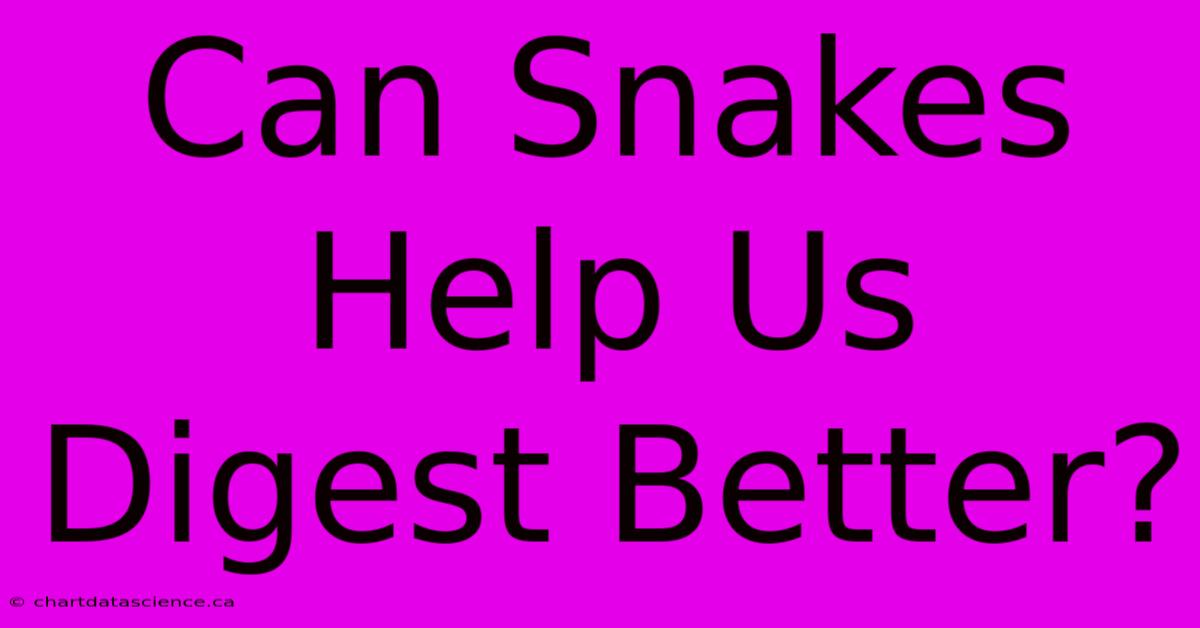 Can Snakes Help Us Digest Better?