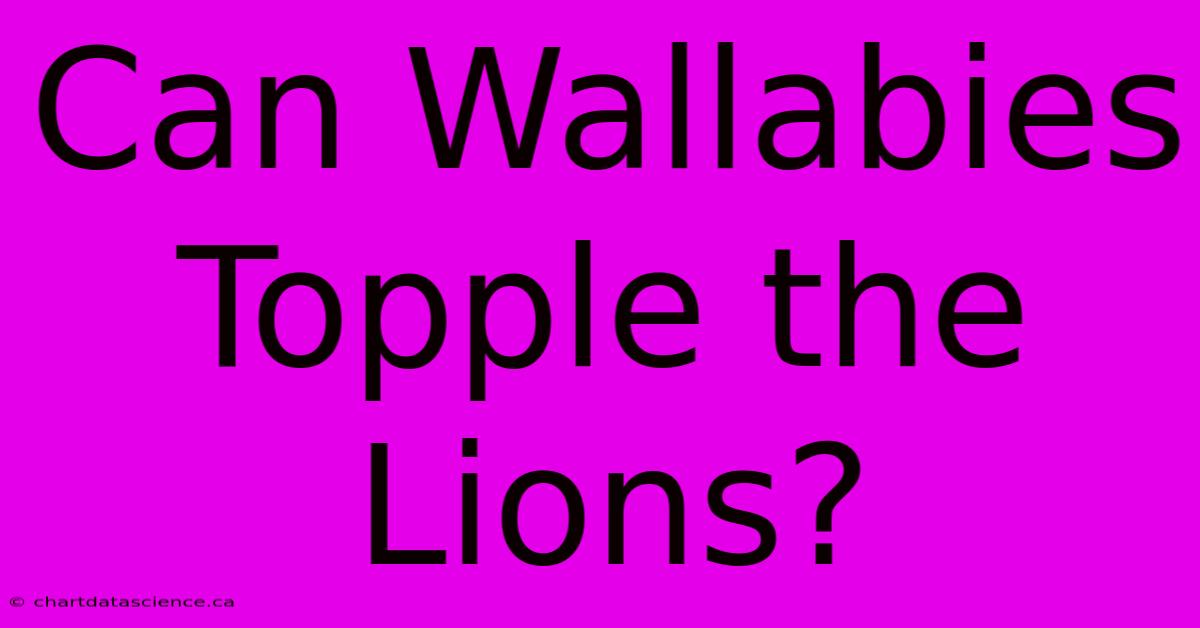 Can Wallabies Topple The Lions?